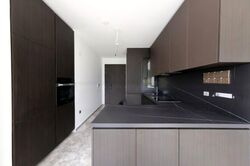 Hyll On Holland (D10), Condominium #439796271